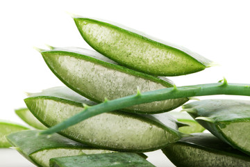 Aloe