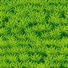 Vector green grass