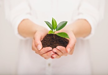 Live Green
