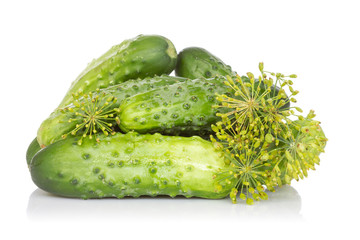 Fresh cucumbers with fennel