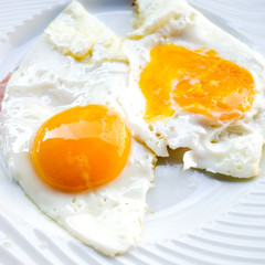 Prepared Egg