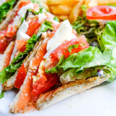 Sandwich with Salmon, cheese and golden French fries potatoes