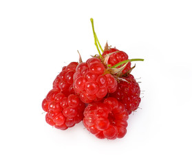 raspberries