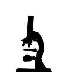 Microscope