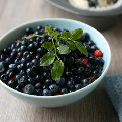 Heidelbeeren und Wilderdbeeren