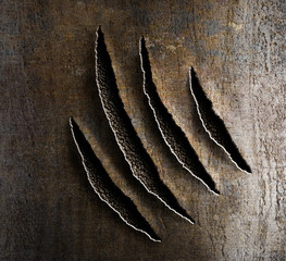 claws damage on rusty metal - obrazy, fototapety, plakaty