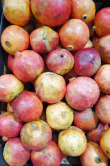 Heap of fresh pomegranate