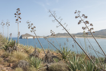 Cabo de Gata, Almeria. Andalucia,