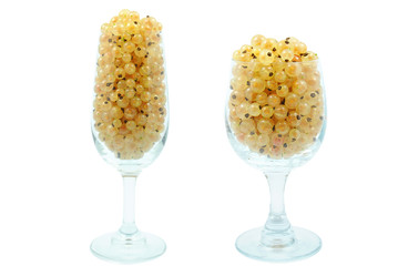 porzeczka biała © slawek_zelasko