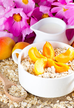 Apricot in the bowl, oatmeal and milk jug
