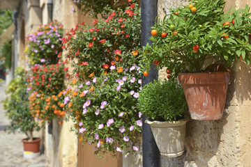 Fototapeta na wymiar Typical Mediterranean Village with Flower Pots in Facades in Val