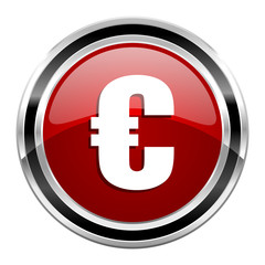 euro icon