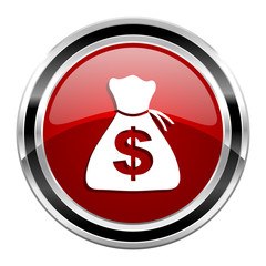 money icon