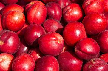 Red nectarine on pile