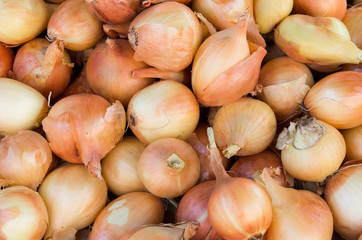 onion in shell on a pile