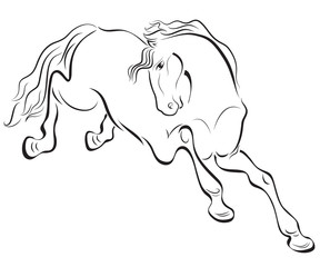 Black and white outline horse vector drawing.