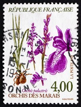 Postage stamp France 1992 Anacamptis Palustris, Orchis Palustris