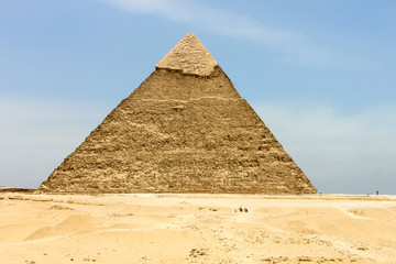 Fototapeta na wymiar Piramidy w Egipcie z niektórych wielbłądów na pierwszym planie