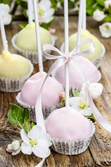 Pastel cake pops in romantic spring set