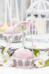 Fototapeta na wymiar Pastel cake pops in romantic spring set