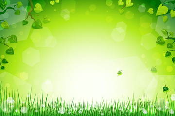 Fototapeta premium Wiese Hintergrund