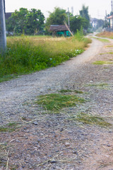 Road Country Tortuous