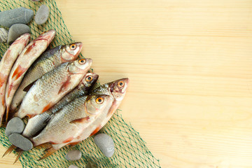 Fishes on fishing net on wooden background