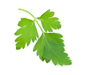 sprig of parsley