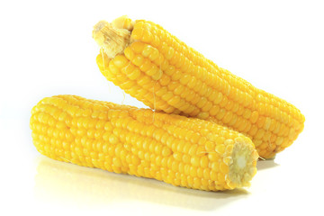 Photo of yellow corn background