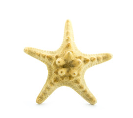 star fish