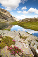 tipico laghetto di alta montagna
