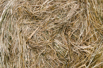 close-up shot of a large bail of hay