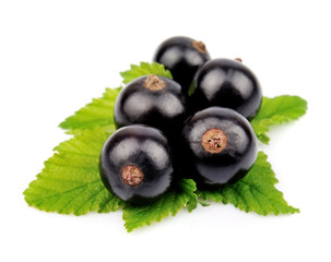 Black currant with leafs