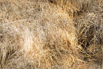 Hay bale background texture