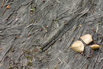 Old vintage sawdust board background texture