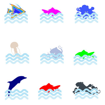 sea animal icon vector illustration