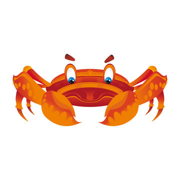 orange crub