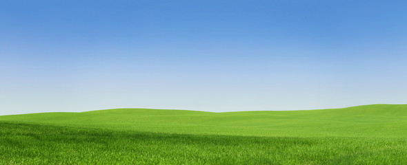 Panoramic view of an empty green field