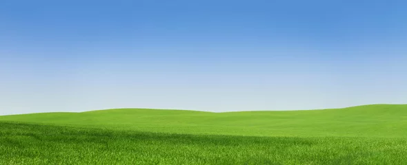Schilderijen op glas Panoramic view of an empty green field © rangizzz
