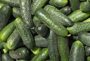 green cucumers