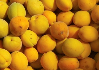 sweet,tasty apricots