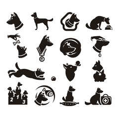 Collections doc icons