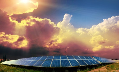 solar panels on the field