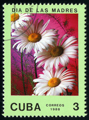 CUBA - CIRCA 1988 divided to Mother's Day and shows  Chamomile