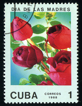 CUBA - CIRCA 1988 divided to Mother's Day and shows  rose