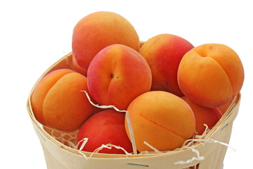 Bourriche d'abricots