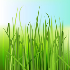 01_Grass
