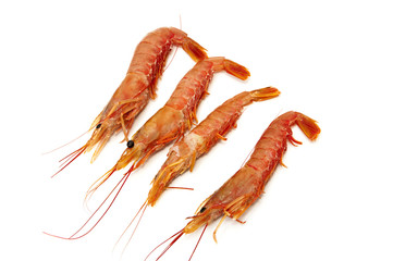 raw prawns