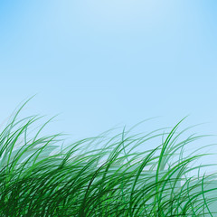 Green_Grass