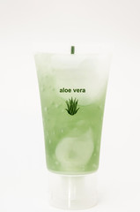 pot of aloe vera